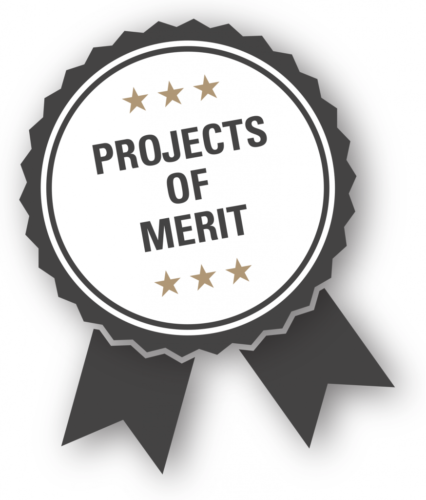 Projects of Merit ribbon