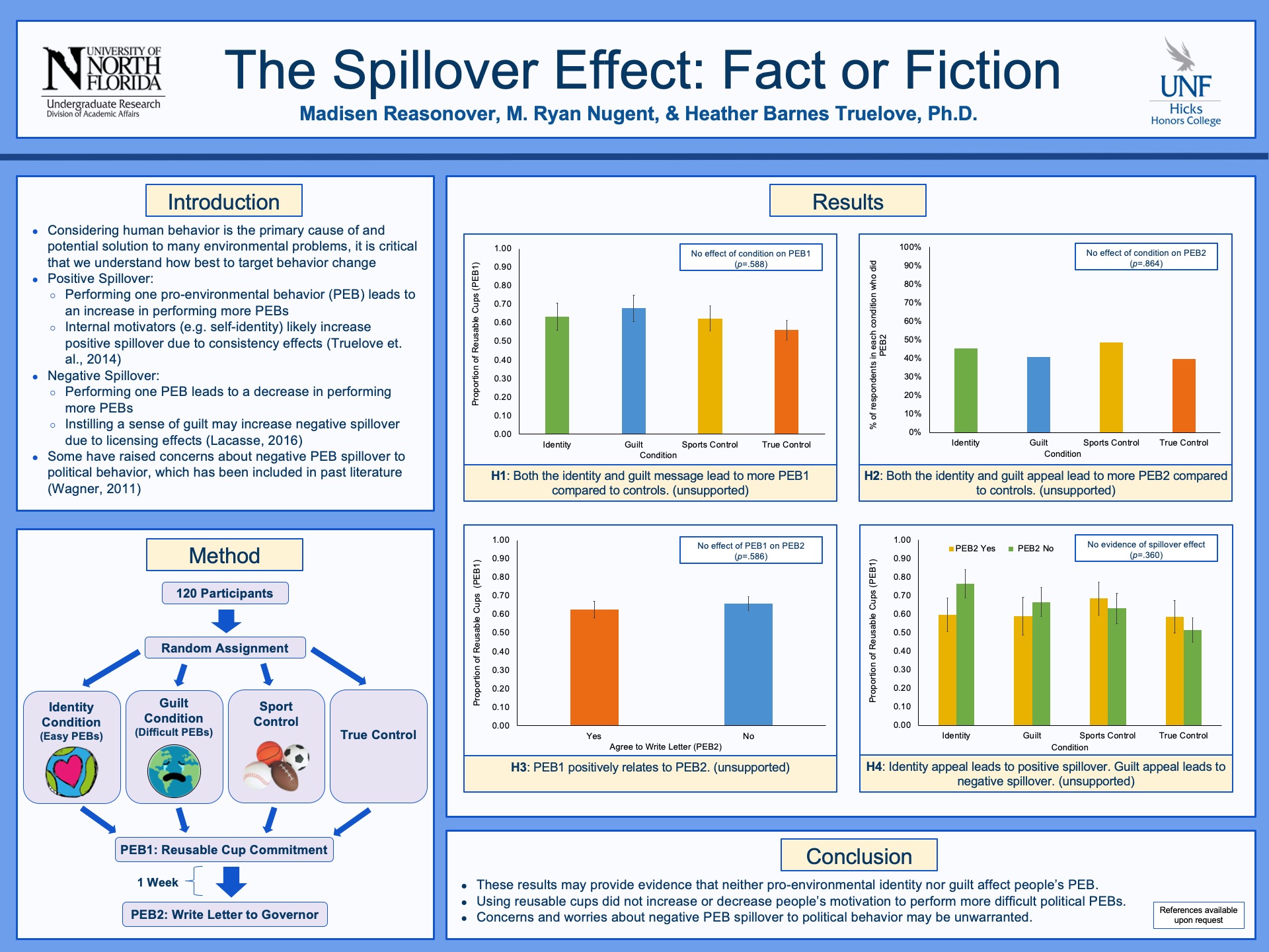 The Spillover Effect: Fact or Fiction poster