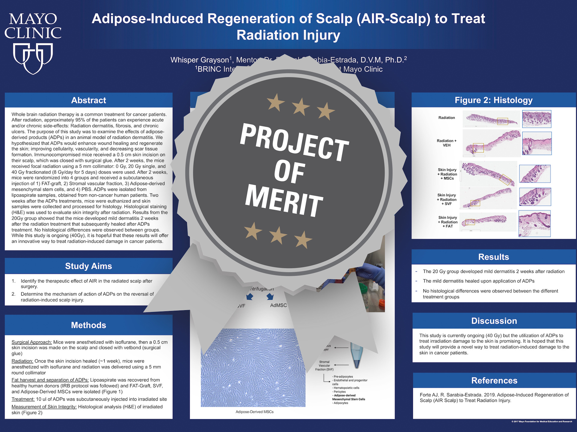Adipose-Induced Regeneration of Scalp (AIR-Scalp) to Treat Radiation Injury Project of Merit poster