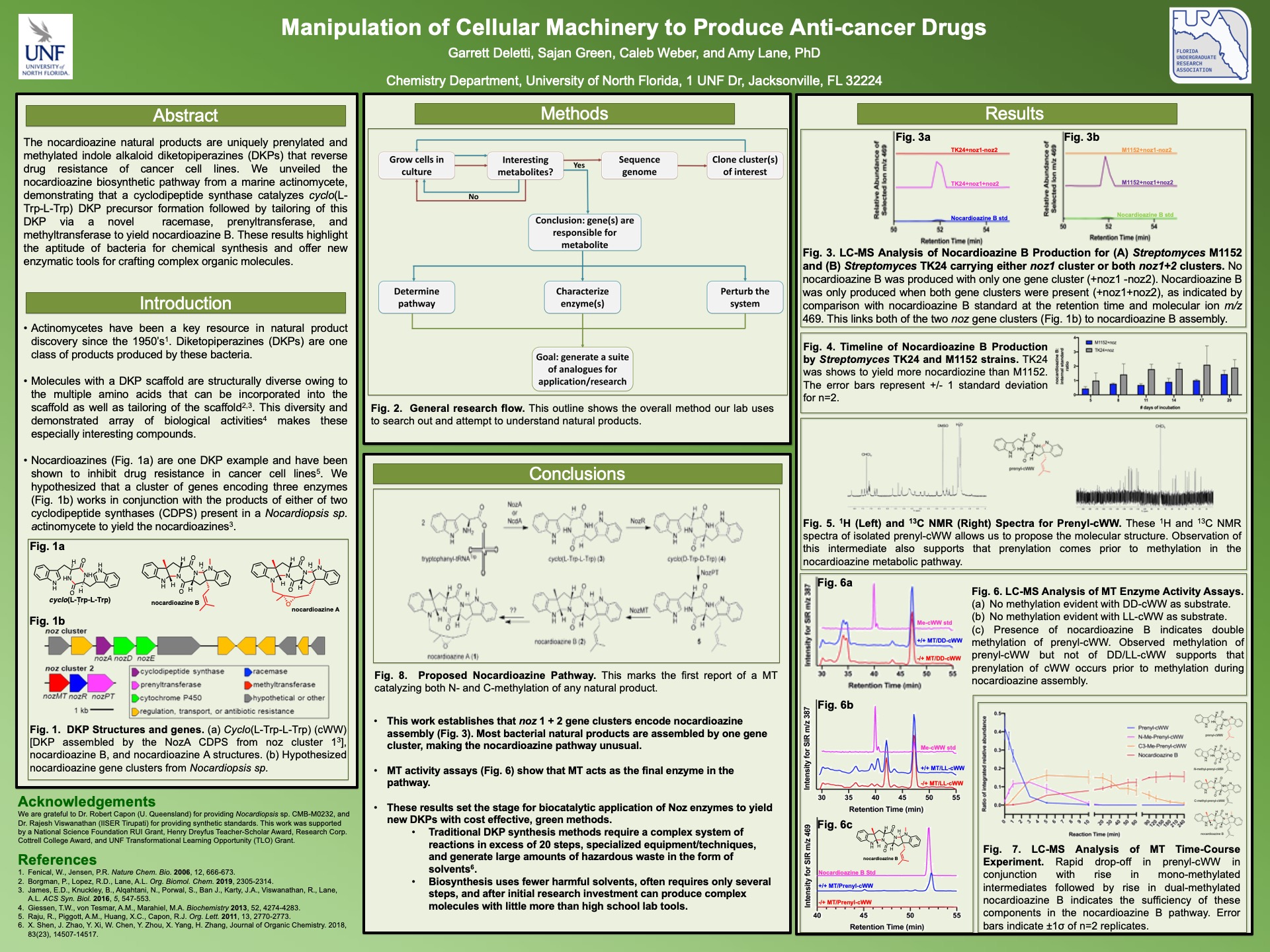 Manipulation of Cellular Machinery to Produce Anti-cancer Drugs poster
